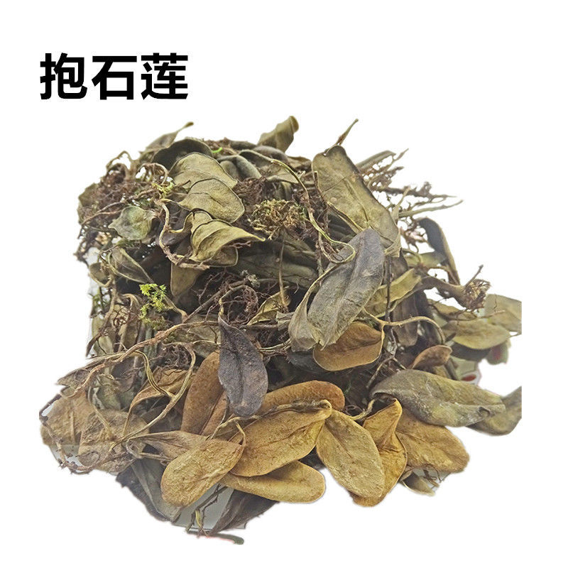 抱石莲中药材枹树莲飞莲草干货瓜子菜新货250克