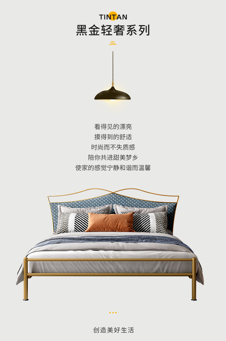 天坛家具 床  新款轻奢简约铁床 后现代新中式双人铁架床 金属双人钢木架子床 铁艺床+22弹簧床垫 1.8m