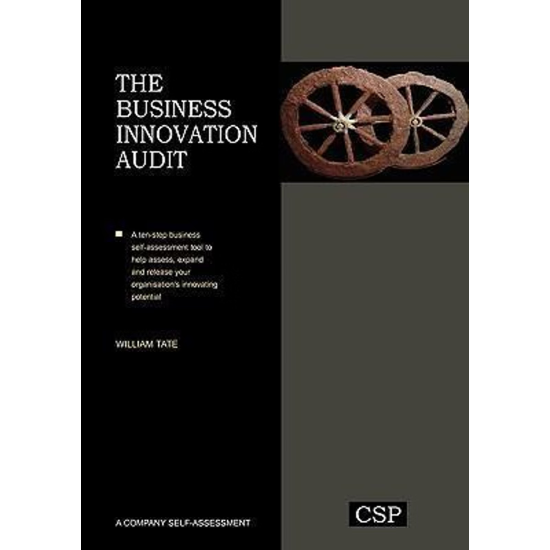 按需印刷The Business Innovation Audit[9780955970733]