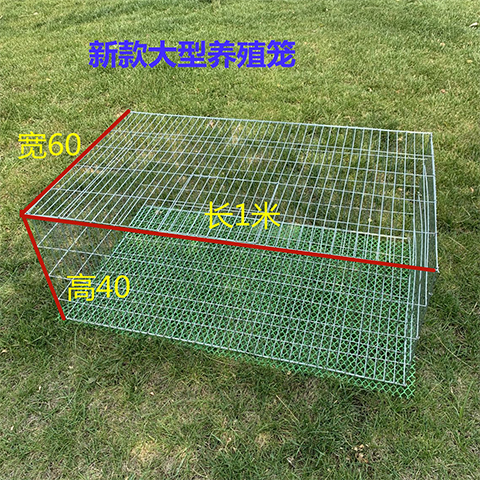 兔笼大号鸡笼家用鸽子养殖笼镀锌铁丝笼运输笼鹌鹑笼宠物兔笼大号双