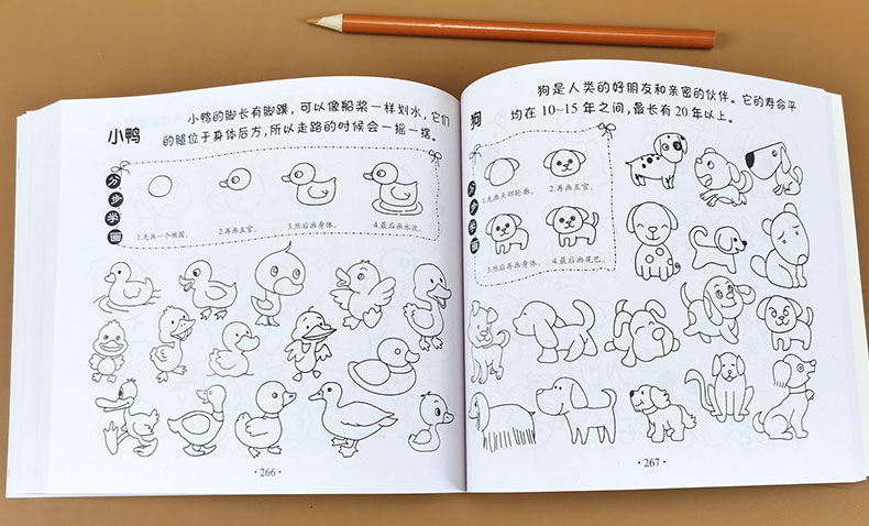 简笔画5000例 儿童简笔画大全涂色书简笔画素材幼儿绘画启蒙教材3-6岁