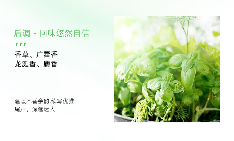 英国TJE宠爱香水30ml 诱人花香调 30ml 绿色