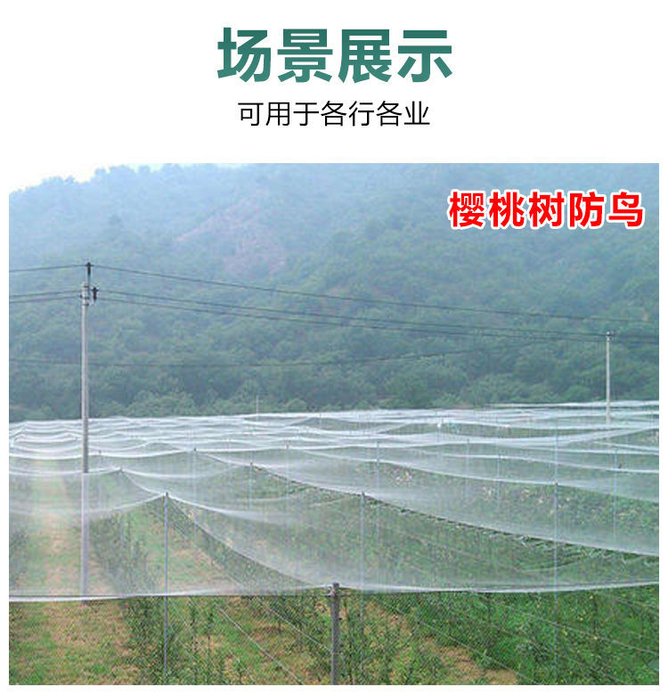 donghao果园防鸟网葡萄樱桃网大棚果树防鸟用的网鱼塘