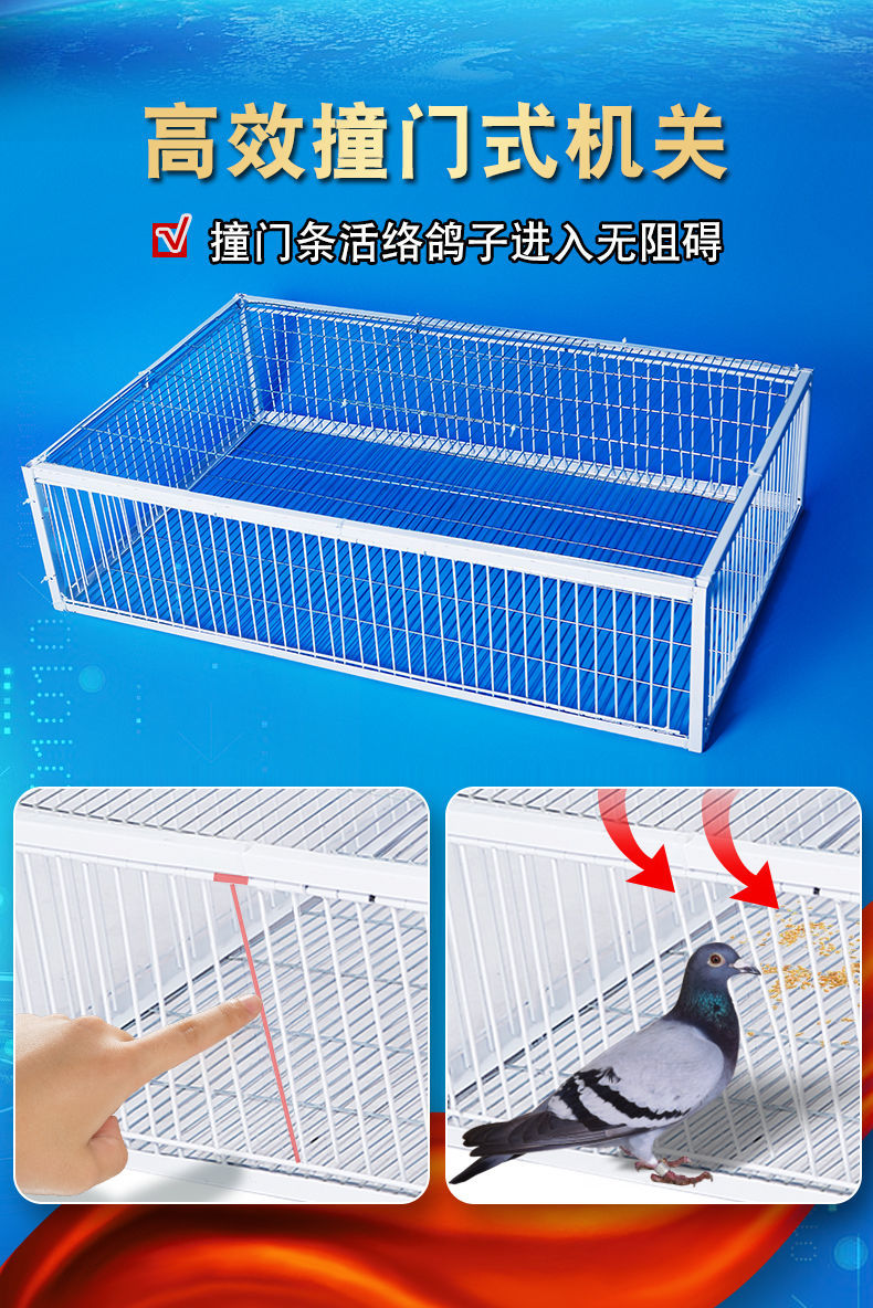 只进不出捕捉神器捕鸽神器加密抓鸽子笼自动天落笼救援鸽笼户外捕鸽子