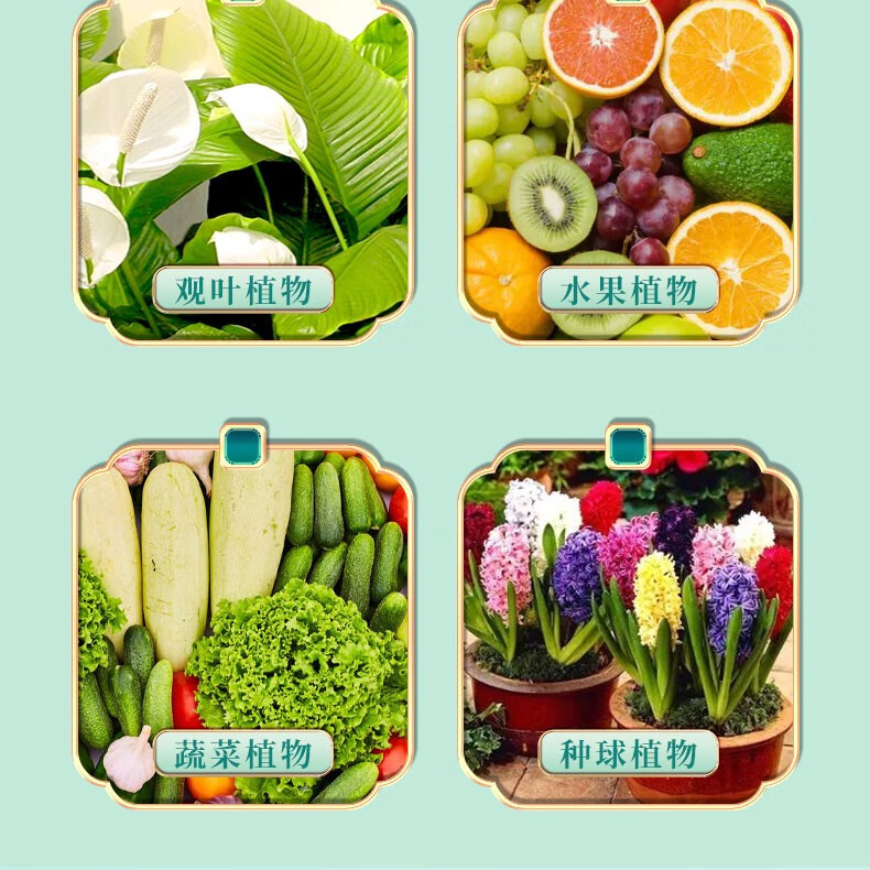 艾尚棵  植物营养液花肥料家用通用型盆栽发财树富贵竹绿萝水培花卉绿植 通用型500ml*2瓶+喷壶