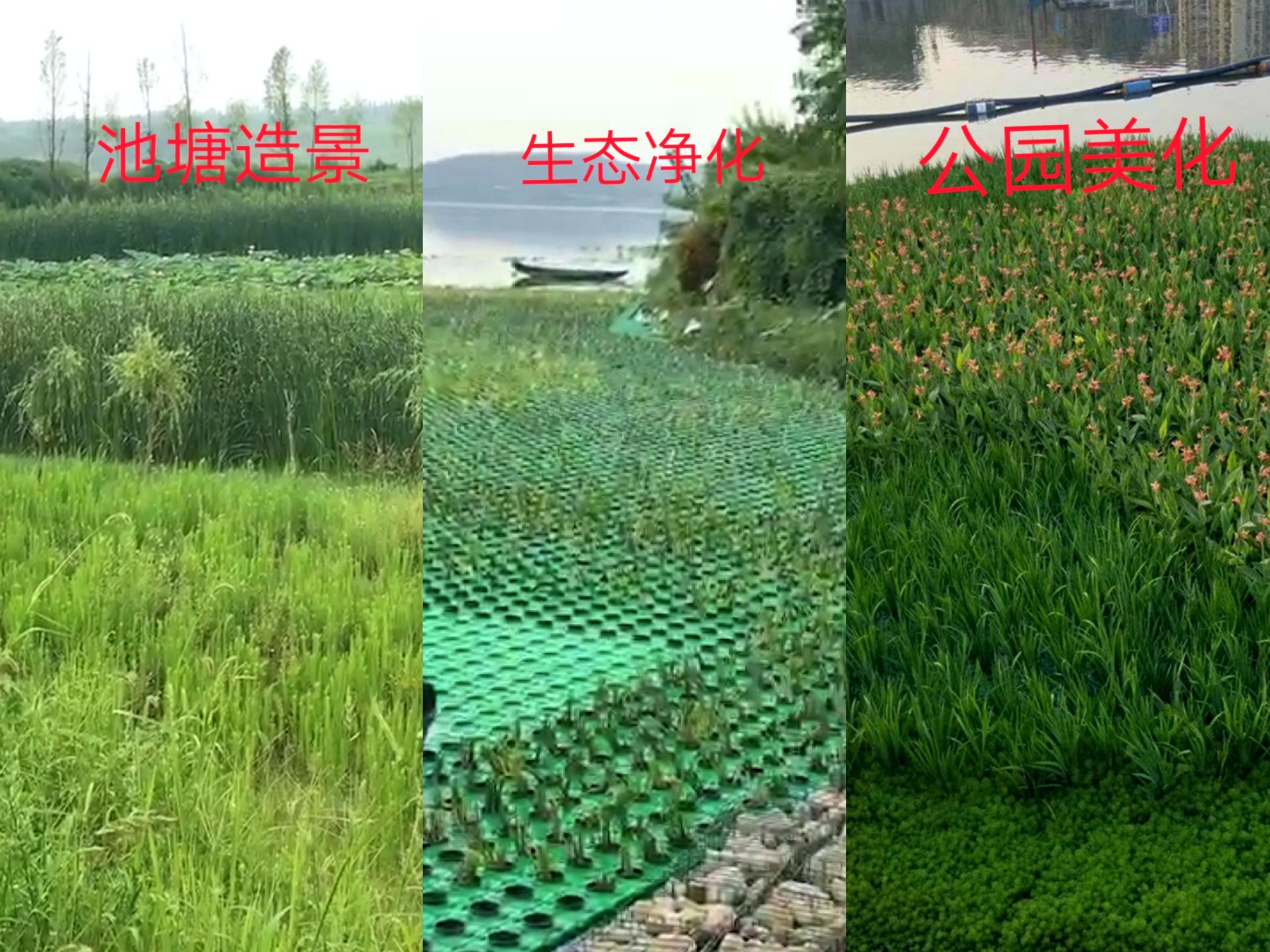 水上植物浮盆种稻浮床蔬菜水面空心菜人工生态浮岛板净化水质河道