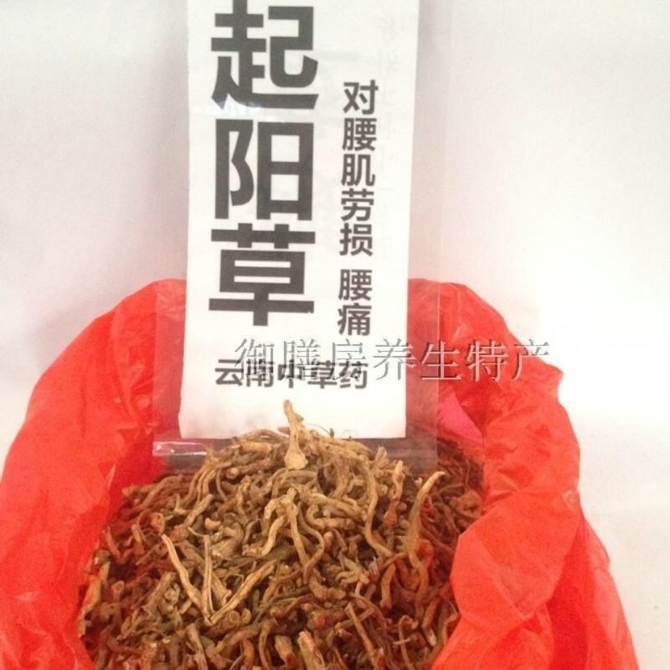 起阳草 云南苗家腾冲特产中草药中药材药酒料药材泡酒