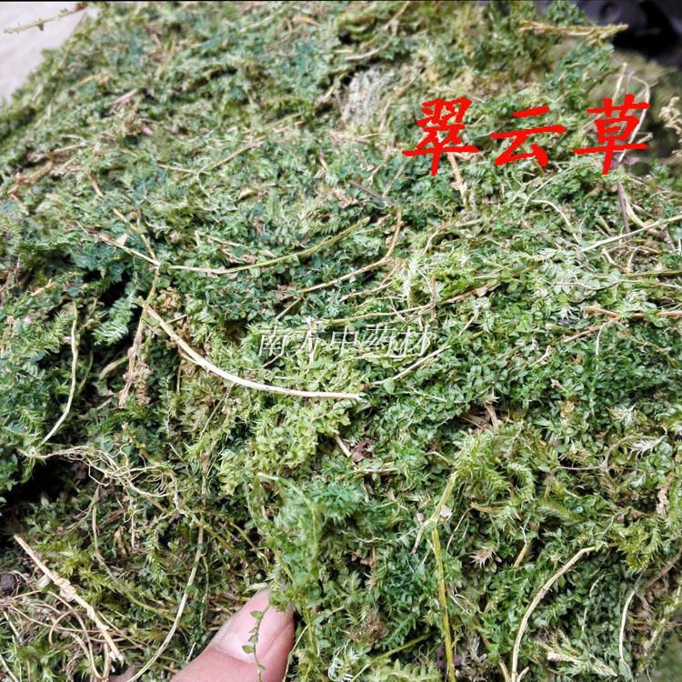 伟博翠云草中草药 中药材剑柏蓝地柏叶伸脚草绿绒草烂皮蛇500克