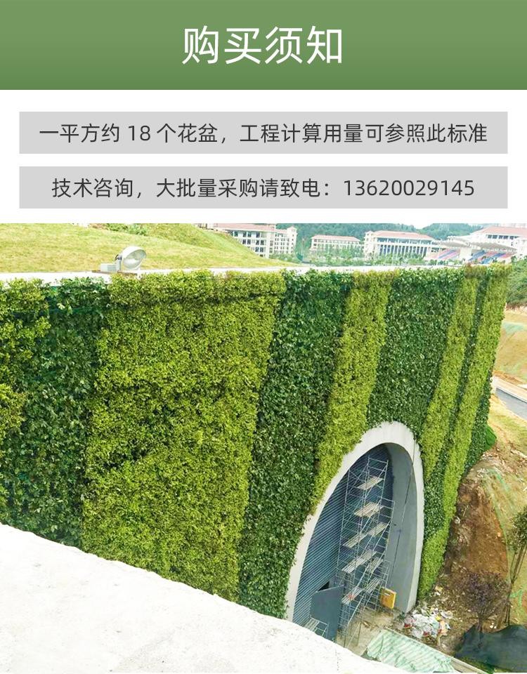 室外围挡植物墙花盆容器围蔽挂盆垂直立体绿化种植盒壁挂式种植槽 军