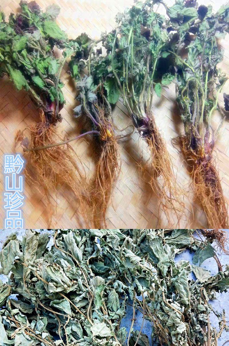 伟博贵州野生蓝布正中草药材水杨梅路边青兰布阵晒干500g南布正