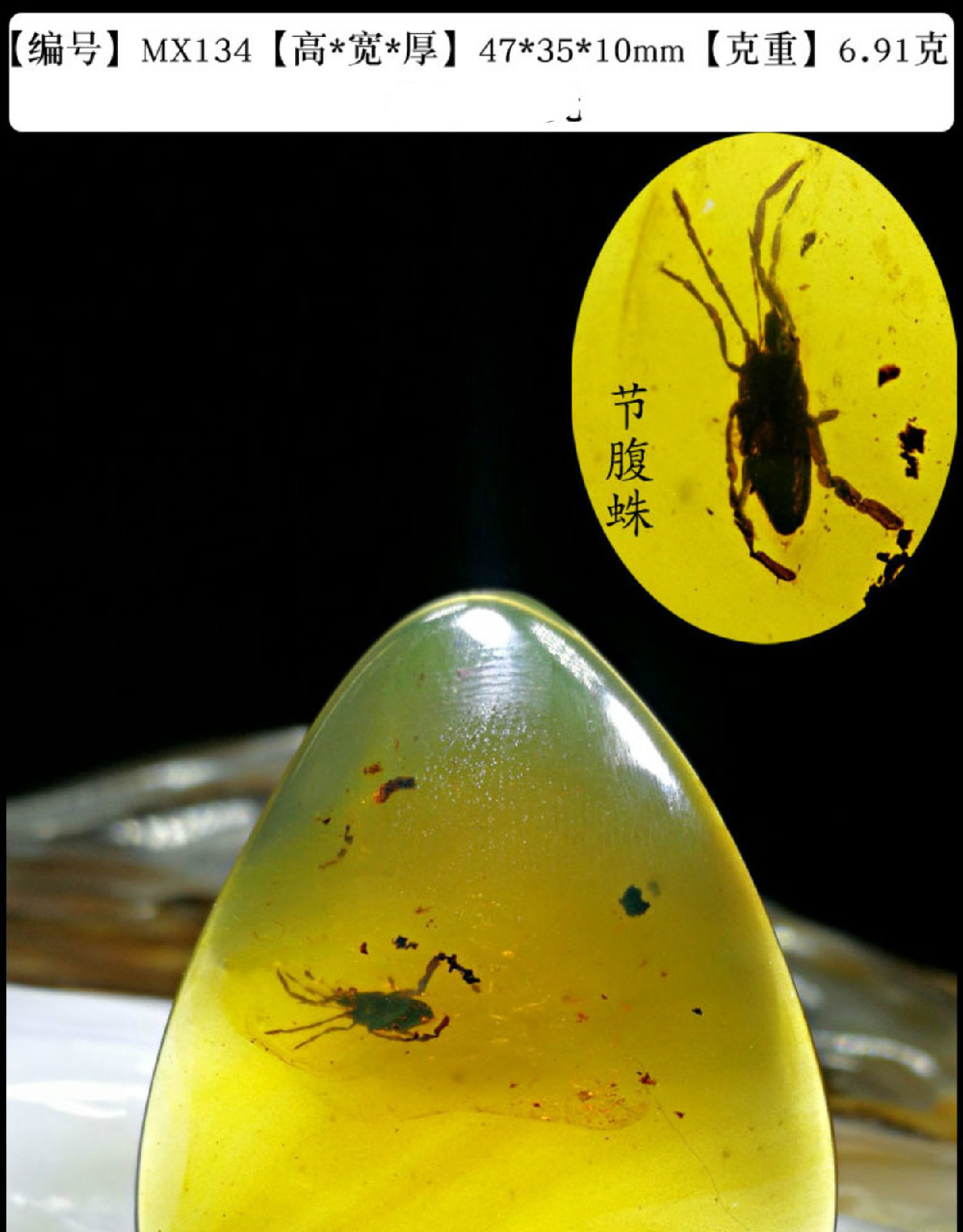 虫珀琥珀吊坠虫珀蜘蛛活水胆植物昆虫动物琥珀化石蛋面水滴sn0684mx