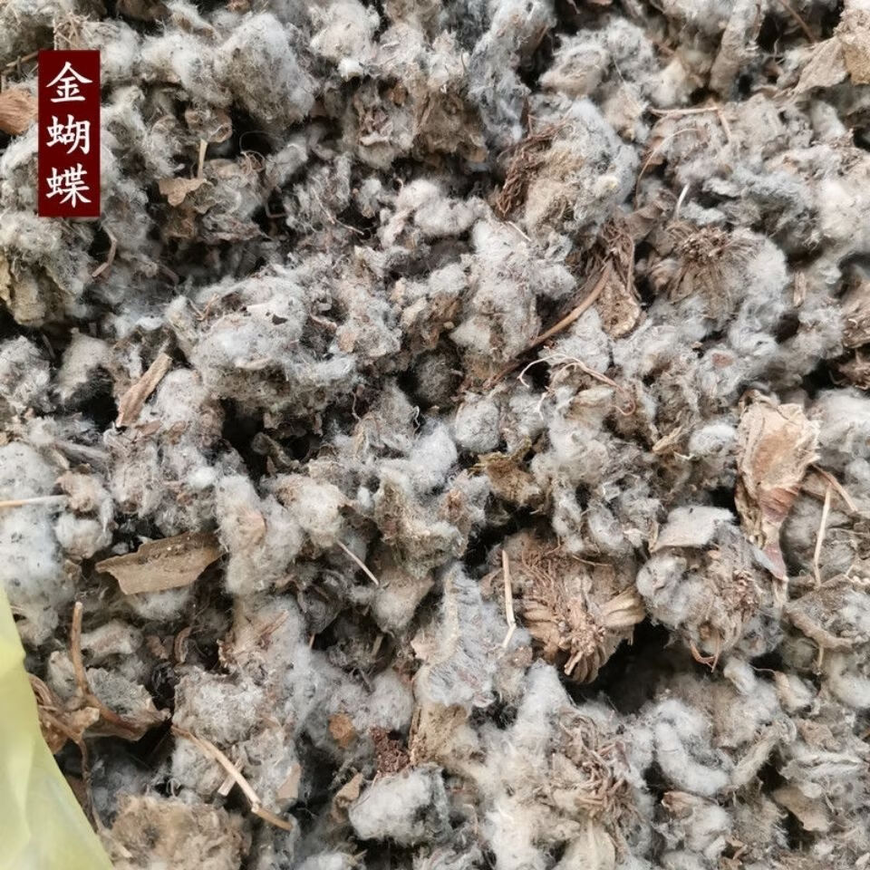 金蝴蝶中药材锦地罗文钱红金线吊芙蓉落地金钱新鲜干货250克金蝴蝶