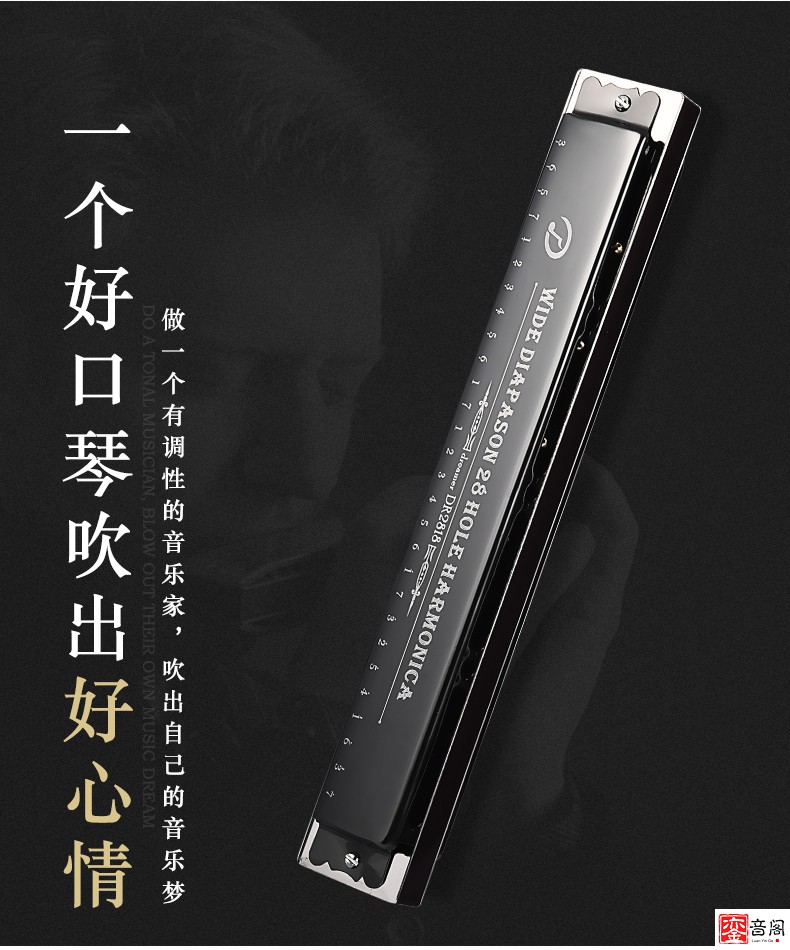 德国原装进口音簧28 孔口琴重音24复音c调高端专业演奏级 爵士黑重音c