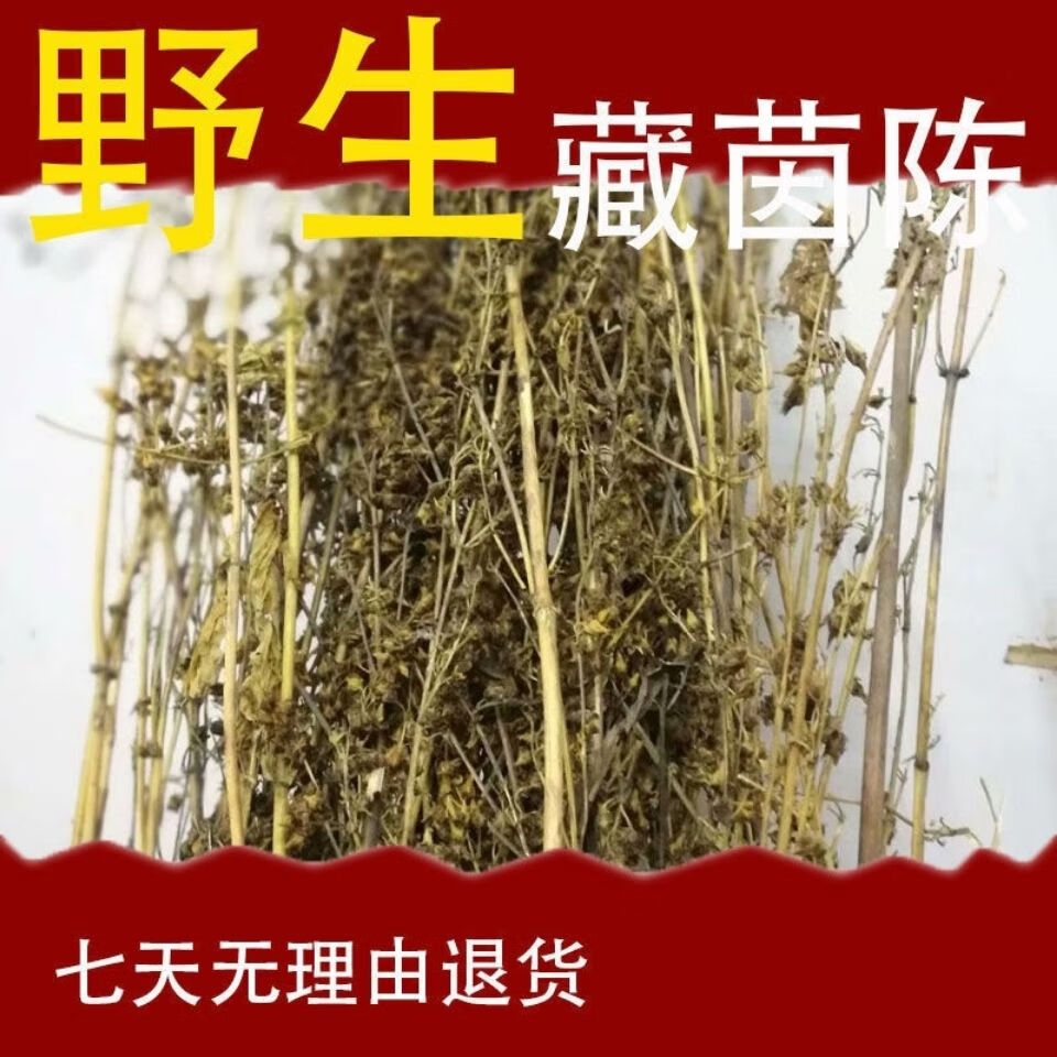 伟博藏茵陈野生西藏臧脏阴沉荫成泡水拉萨苦草特级因英菌茵陈茶500g
