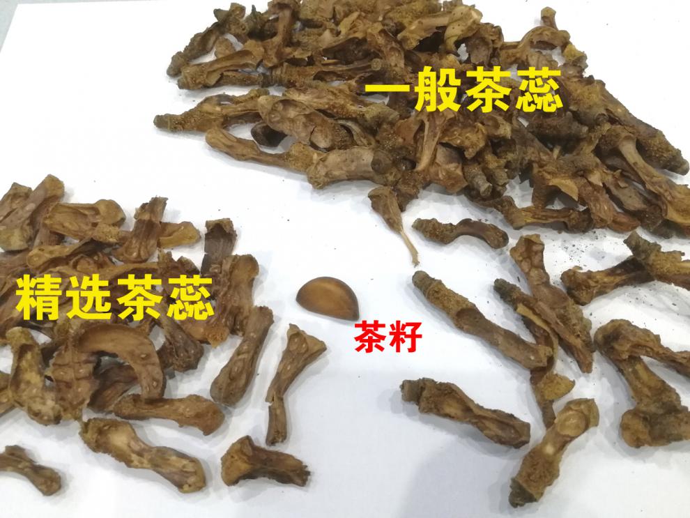 高州原生态茶籽芯1斤老树茶子心山茶籽蕊茶油饼山茶油