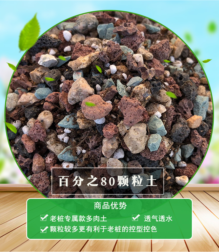 麦桑荷颗粒土铺面石多肉土壤有机营养土种植土通用型花肥兰花专用土拼