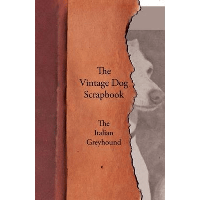 按需印刷不退不换The Vintage Dog Scrapbook - The Italian Greyhound[9781447428985]
