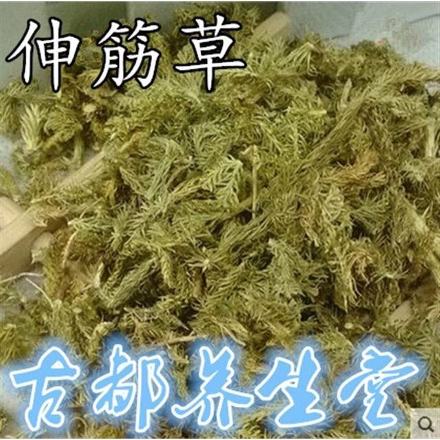 伟博新货伸筋草500g舒筋草透骨草狮子尾250g三宝茶原料远志益智仁伸筋