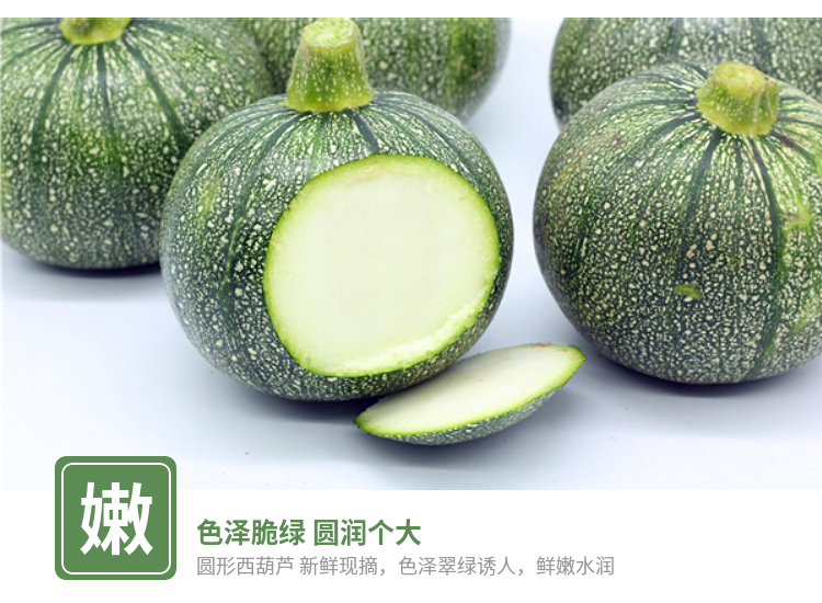 云南新鲜嫩南瓜小圆瓜批发贝贝南瓜西葫芦绿皮青南瓜时令蔬菜 小圆瓜