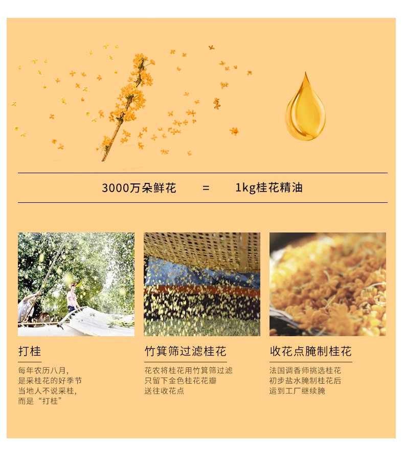 遇见香芬 东方桂花香水自然花香味女士清新淡香香味留香夏天香水送老婆女生闺蜜生日节日礼物礼盒 东方桂花香水50ml