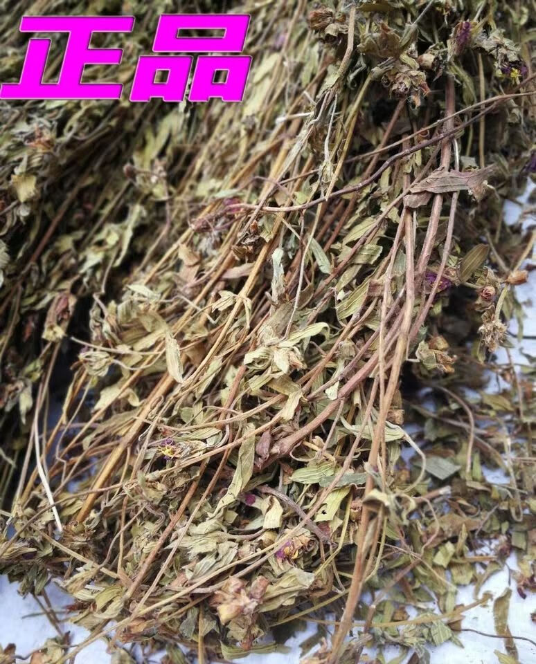 伟博金香炉福建深山中草药大香炉天香炉小金钟金石榴500g