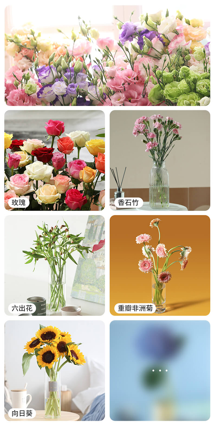 【基地直发】FlowerPlus花加单品鲜花云南昆明花束精致桌面瓶插花摆件鲜切花（下单后7天内发货） 六出花10枝，颜色随机
