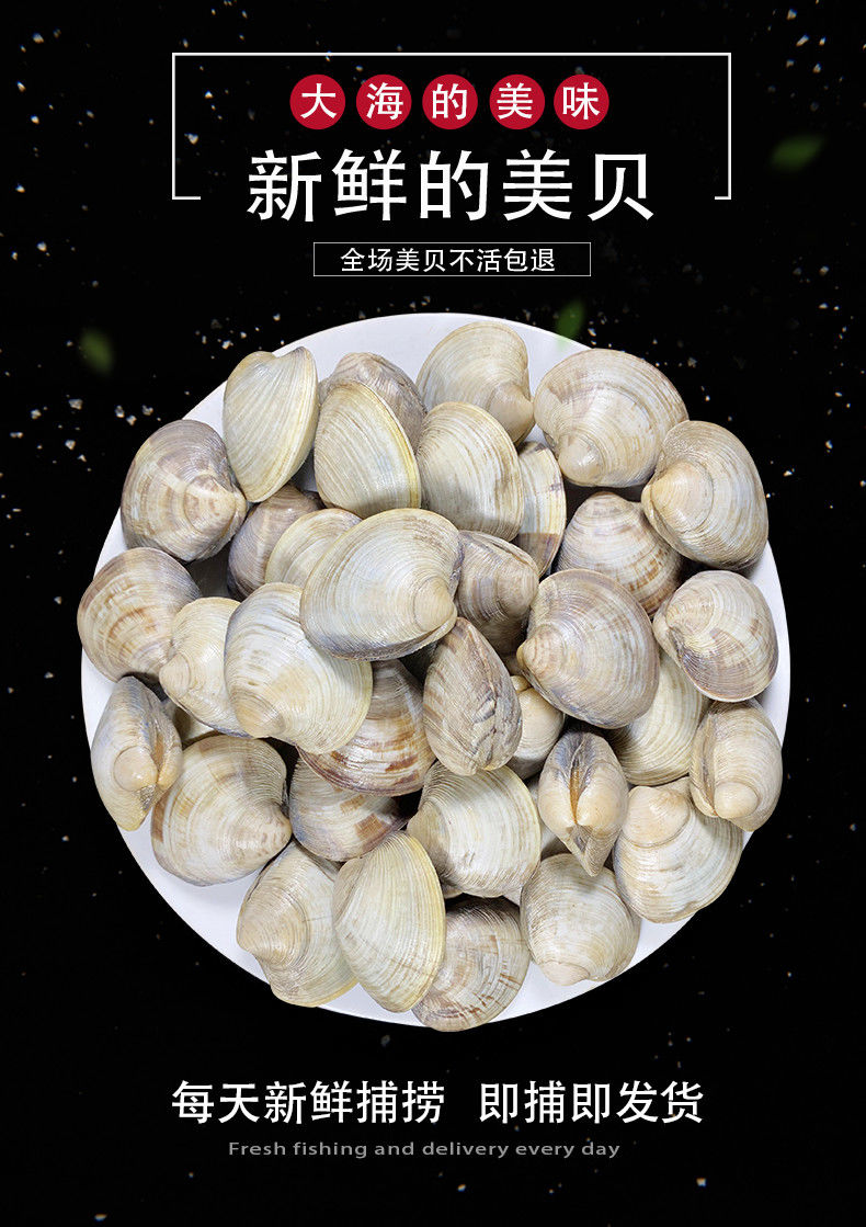 5斤无沙蛤蜊无泥沙新鲜鲜活花蛤肉美贝花甲大蛤蜊肉海鲜水产惟纳德7天