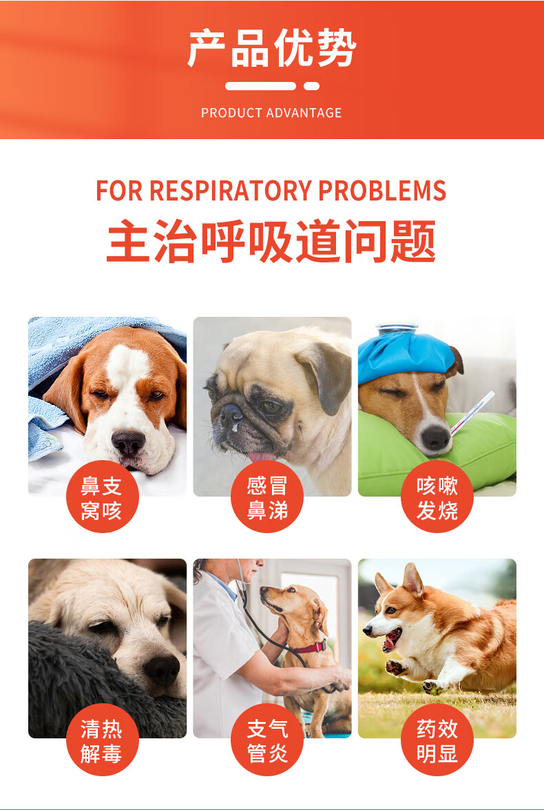 2，寵物貓咪狗狗鹽酸多西環素片寵物犬感冒咳嗽打噴嚏流鼻涕犬窩咳貓鼻支咳喘肺炎呼吸道消炎葯 鹽酸多西環素片+頭孢羥氨苄+清瘟解毒