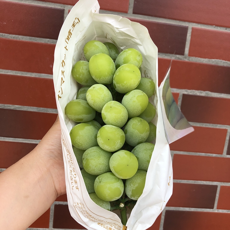 阳光玫瑰青提【顺丰2斤】晴王葡萄日本品种阳光玫瑰香