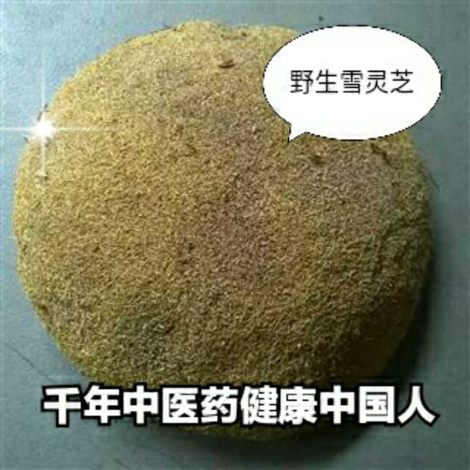 中药材西藏雪灵芝,草灵芝,货真价实,诚信经营 1000克