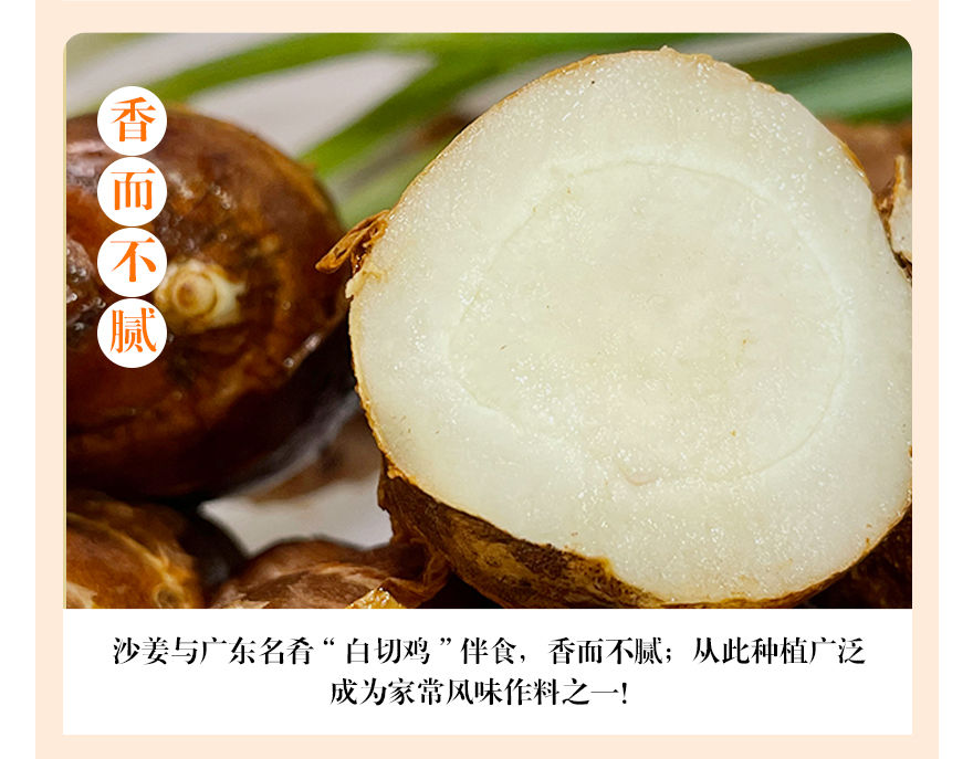 广东沙姜新鲜现挖正宗沙姜老姜生姜 100克(尝鲜装)