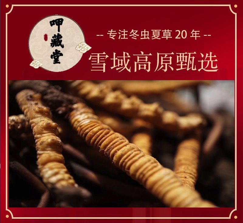【】新鲜冬虫夏草2021年鲜虫草10根真空装西藏那曲 (刚出土鲜草)0.