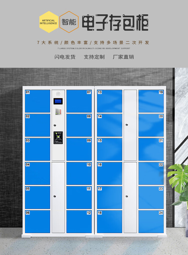 启盛恒 超市电子存包柜智能储物柜商场寄存柜红外条码刷卡微信扫码存放柜 12门人脸识别