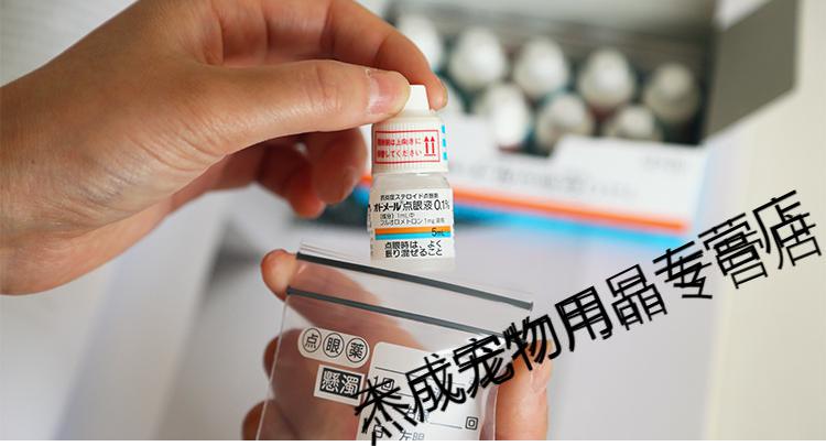 日本千寿宠物点眼夜葡萄膜炎虹膜炎术后滴眼液体眼药水