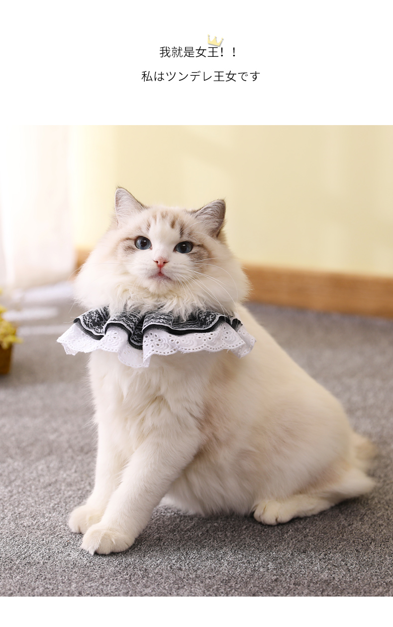 猫咪围巾宠物蕾丝围嘴围脖口水巾饰品装饰小猫用三角巾狗狗口水巾蕾丝