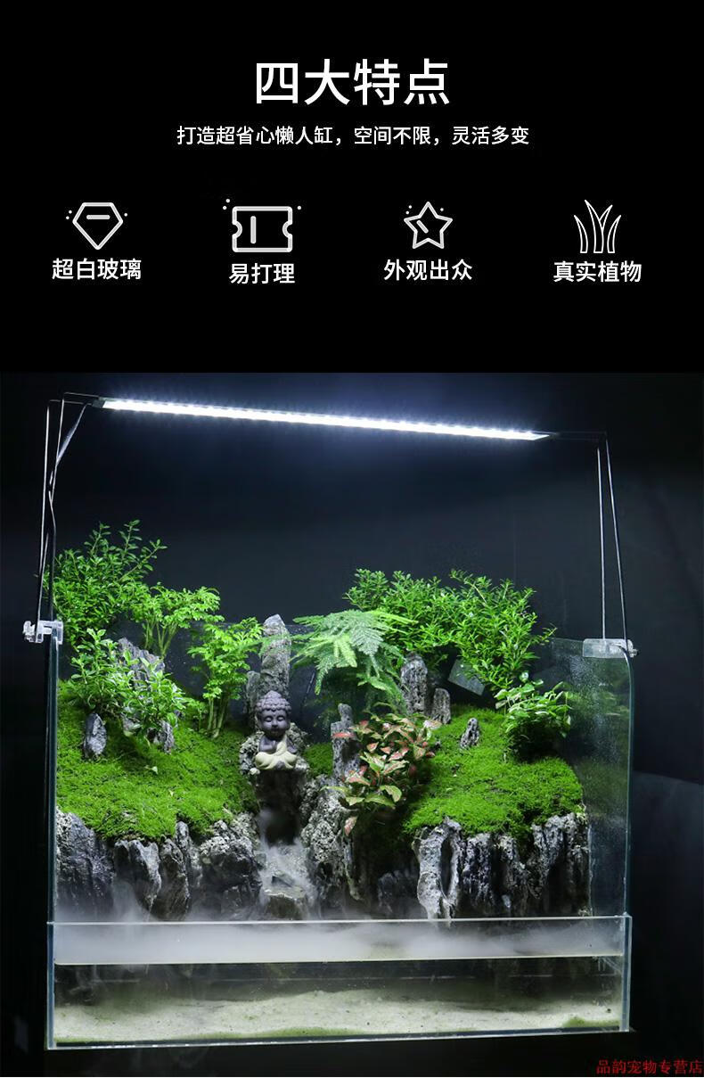 造景乌龟饲养箱两栖水陆缸雨林缸生态缸植物材料免换水鱼缸 成品水陆