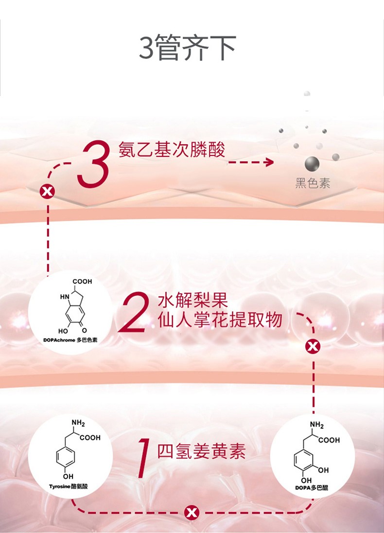 LABORATORIOS VINAS月光精华液四氢姜黄素补水保湿精华嫩肤提亮tanit乳 30ml