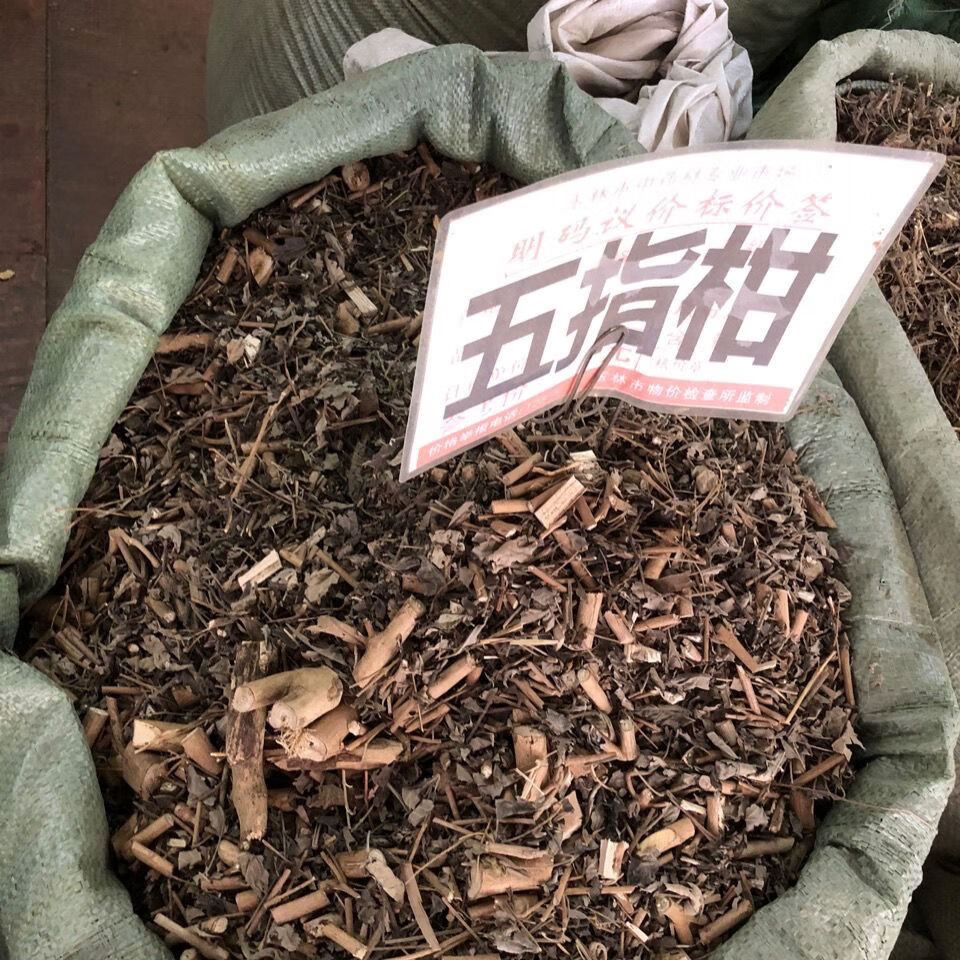 伟博中草药五指柑布荆叶蚊子叶优质500g