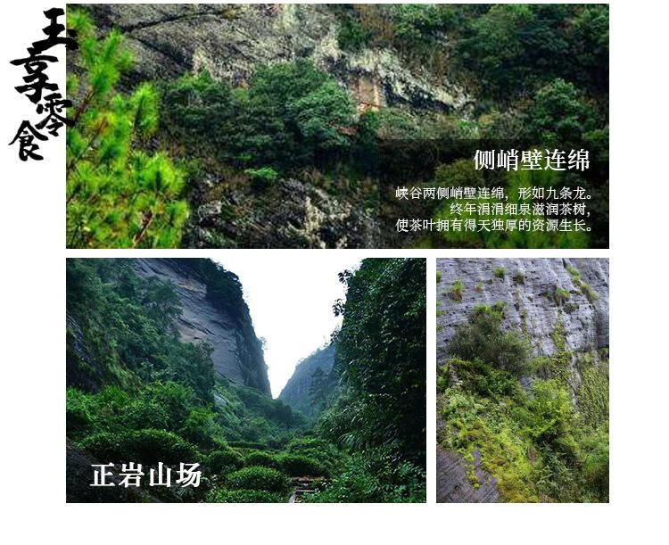 燕子窠生态茶园肉桂武夷山正宗正岩果香大红袍岩茶茶叶试饮装