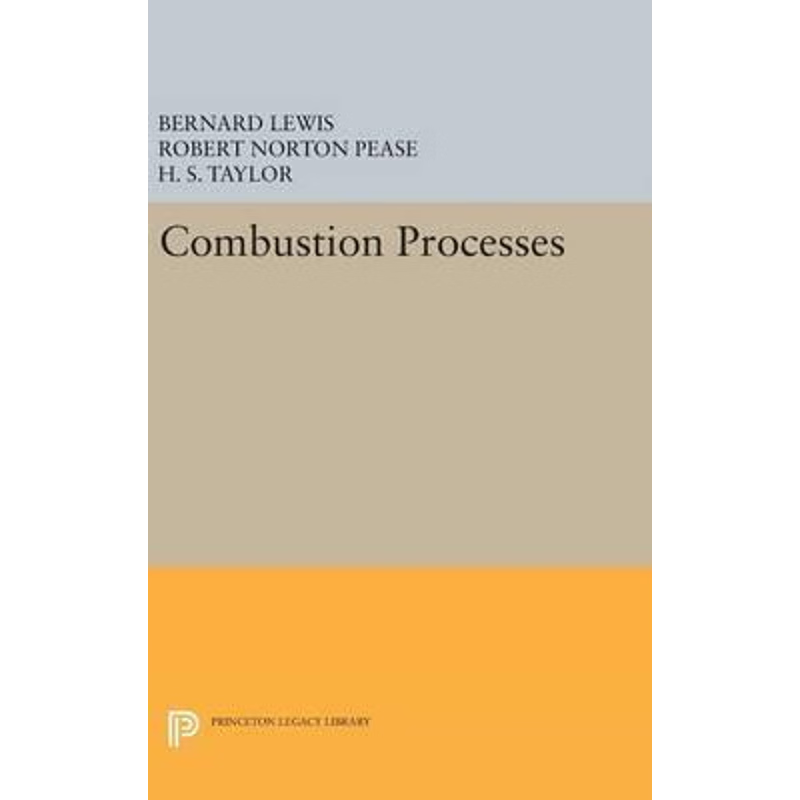 按需印刷Combustion Processes[9780691653044]