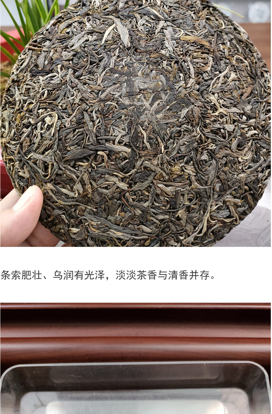 8，趣普茶業2023年初見雪山生普勐庫大雪山大樹純料春普洱茶生茶357g 2022年1餅357g