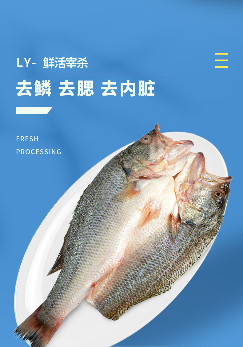 速鲜（SuXian）新鲜活冻三去开背白蕉海鲈鱼 生鲜海鱼海鲜水产去鳃去鳞去内脏 200-250g*6条（无冰款）