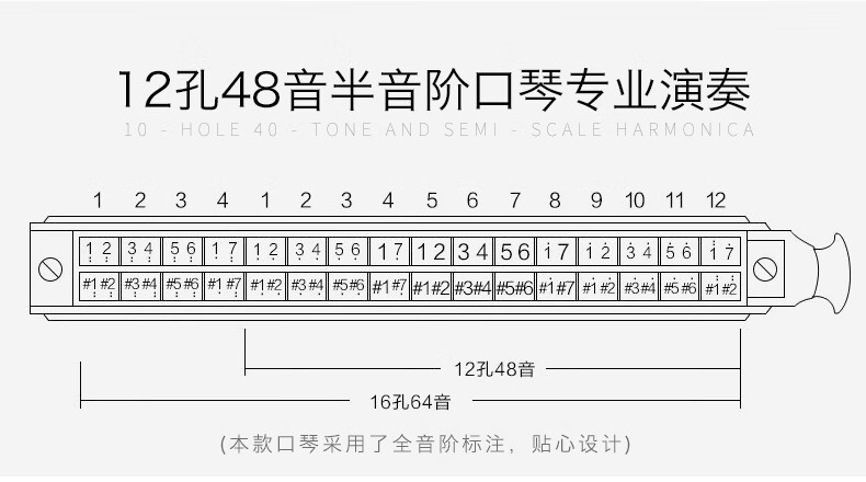 【优选好物】天鹅半音阶口琴12孔c调 高级学生用初学者专业演奏级乐器