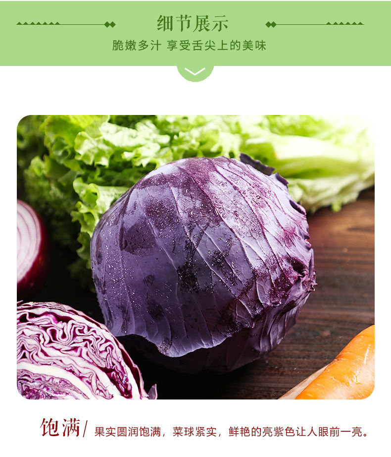 新鲜紫甘蓝蔬菜沙拉菜现采现发坏单包赔紫叶菜紫球菜紫包菜 紫甘蓝2-3