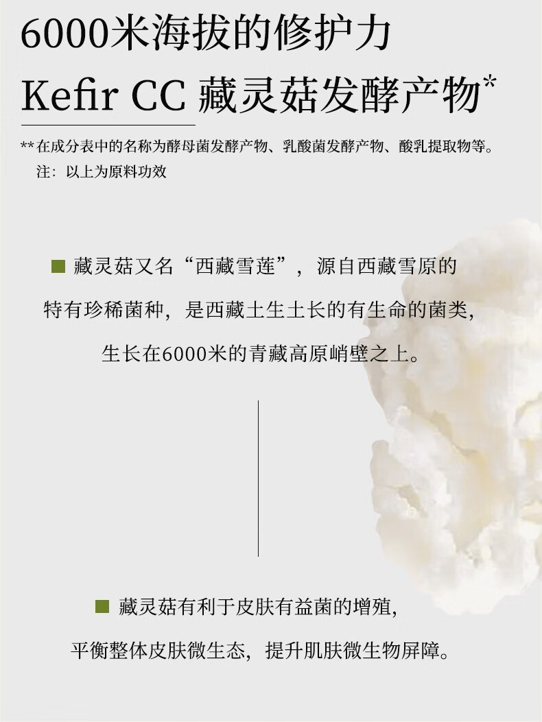 寻荟记发酵芦荟胶祛痘痘印补水保湿修护凝胶晒后舒缓芦荟胶50g芦荟原液 【2代新升级】祛痘芦荟胶50g*1支