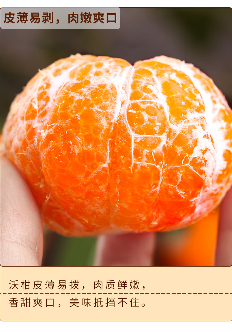 正宗云南明日见澳柑玉龙雪山沃柑新鲜蜜桔桔子应季橘子新鲜多汁水果