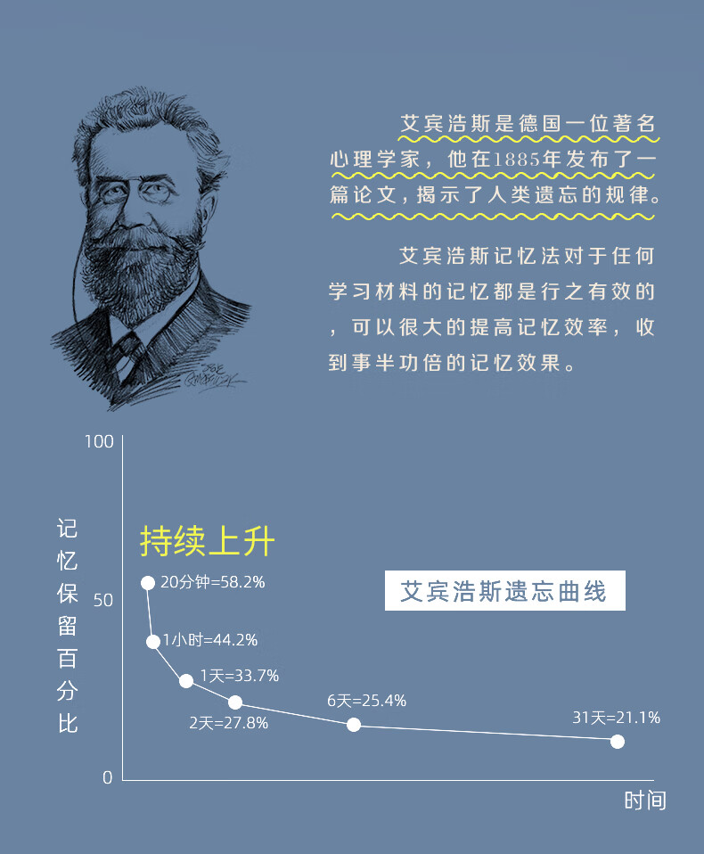 疯狂森林曲线记忆本艾宾浩斯遗忘记忆复习计划本学习周期复习本学生背