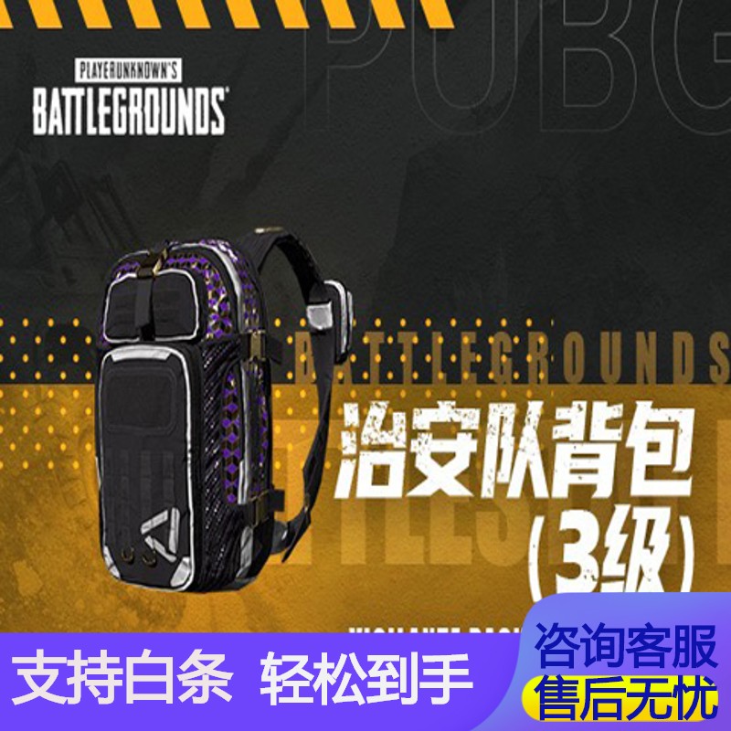 绝地求生steam吃鸡治安队背包礼包皮肤cdk1级2级3级书包套装pubg支持