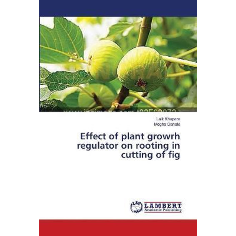 按需印刷Effect of plant growrh regulator on rooting in cutting of fig[9783659200502]