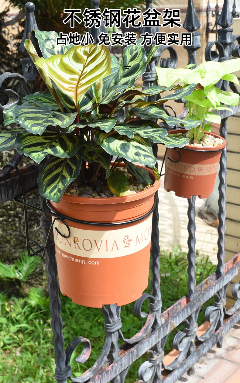 全不锈钢花架兰花盆挂架挂式花架子圆形加仑盆挂架阳台栏杆防盗网 不锈钢黑色【特小号】圈直径11CM-4个装